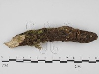 登錄號:F0000569藏品圖，第1張
