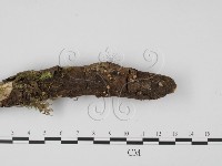 登錄號:F0000569藏品圖，第3張