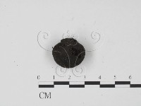 登錄號:F0000570藏品圖，第1張