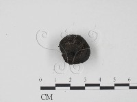 登錄號:F0000570藏品圖，第3張