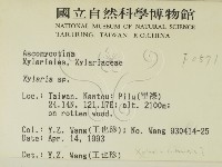 炭角菌屬藏品圖，第2張