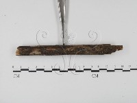 登錄號:F0000572藏品圖，第3張