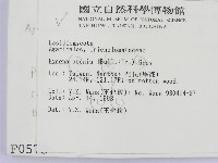 登錄號:F0000573藏品圖，第2張