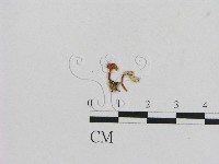 登錄號:F0000573藏品圖，第3張