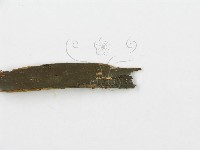 登錄號:F0000574藏品圖，第3張