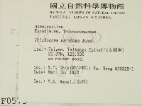 登錄號:F0000575藏品圖，第2張