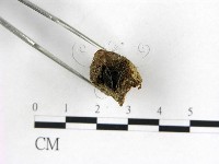 登錄號:F0000577藏品圖，第1張