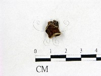 登錄號:F0000578藏品圖，第3張