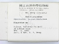 登錄號:F0000579藏品圖，第2張
