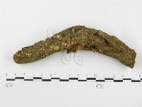 登錄號:F0000579藏品圖，第1張