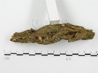 登錄號:F0000579藏品圖，第3張