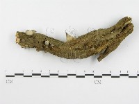 登錄號:F0000579藏品圖，第4張
