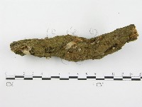 登錄號:F0000579藏品圖，第5張