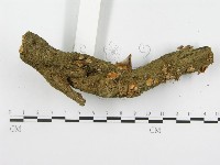 登錄號:F0000579藏品圖，第6張