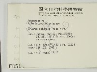 登錄號:F0000580藏品圖，第2張