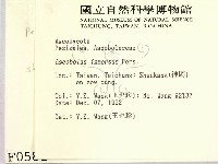 登錄號:F0000581藏品圖，第2張