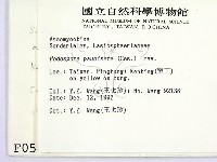 登錄號:F0000582藏品圖，第2張