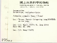 登錄號:F0000583藏品圖，第2張