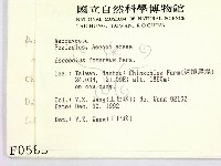 登錄號:F0000585藏品圖，第2張