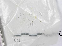 登錄號:F0000585藏品圖，第1張