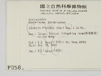 登錄號:F0000586藏品圖，第2張