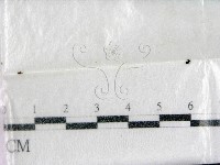 登錄號:F0000587藏品圖，第1張