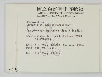 登錄號:F0000588藏品圖，第2張