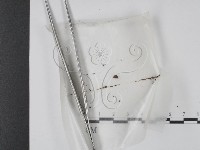 登錄號:F0000588藏品圖，第1張