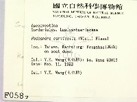 登錄號:F0000589藏品圖，第2張