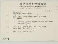 登錄號:F0000590藏品圖，第2張