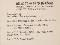 登錄號:F0000591藏品圖，第2張