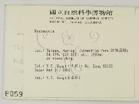 館號:F0000592藏品圖，第2張