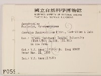 登錄號:F0000594藏品圖，第2張