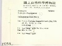 登錄號:F0000595藏品圖，第2張
