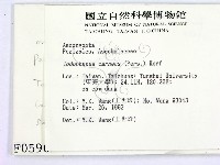 登錄號:F0000596藏品圖，第2張