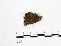 登錄號:F0000596藏品圖，第1張