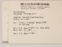 登錄號:F0000598藏品圖，第2張