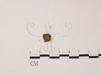 登錄號:F0000598藏品圖，第3張