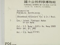登錄號:F0000602藏品圖，第2張