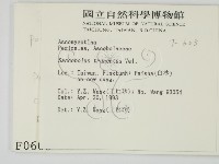 登錄號:F0000603藏品圖，第2張