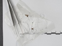 登錄號:F0000603藏品圖，第1張