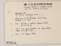 登錄號:F0000604藏品圖，第2張