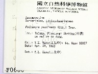 登錄號:F0000606藏品圖，第2張