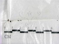 登錄號:F0000606藏品圖，第1張
