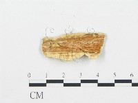 登錄號:F0000606藏品圖，第3張