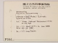 登錄號:F0000607藏品圖，第2張