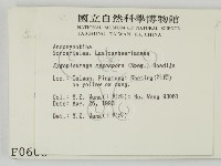 登錄號:F0000608藏品圖，第2張