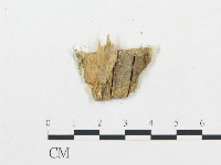 登錄號:F0000608藏品圖，第3張