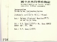 登錄號:F0000610藏品圖，第2張