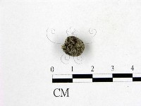 登錄號:F0000610藏品圖，第1張